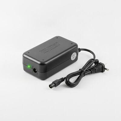 54.6V 2A Output Ebike-batterijoplader met overladingsbescherming en lichtgewicht 300 gram ontwerp voor elektrische fietsen